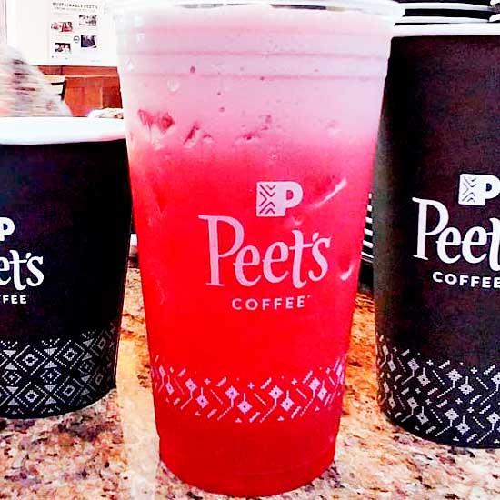 Organic Wild Berry Hibiscus iced tea